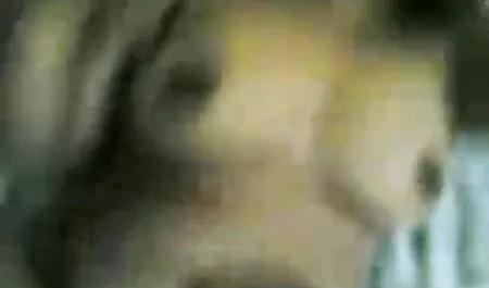 चिकी सेक्सी मूवी एक्स एक्स एक्स सेक्सी फिल्माए जाने वाले बस्टी समलैंगिकों जेना सैटिवा और मर्सिडीज कैरेरा को कैमरे में कैद करती हैं