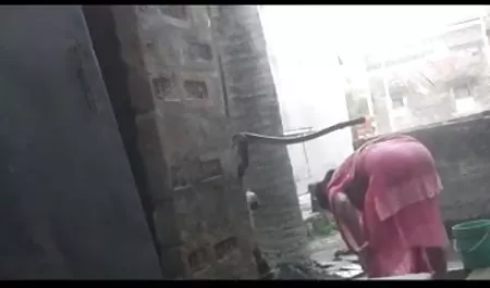 दो मूवी सेक्सी हिंदी में वीडियो लड़कियों को चोदो