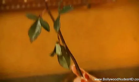 परिपक्व वासना सौतेली माँ गुदा में एक सेक्सी एचडी हिंदी मूवी जवान बेटी और उसकी प्रेमिका fucks